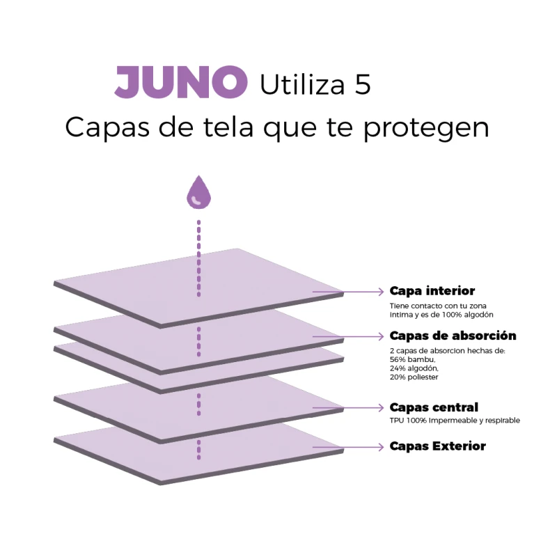 Juno: Calzón Menstrual Descaderado de Algodón Orgánico