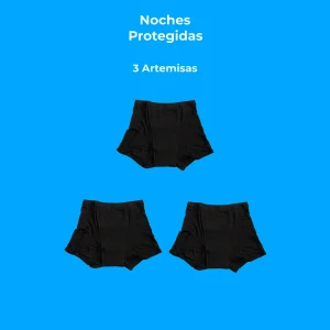 Noches Protegidas