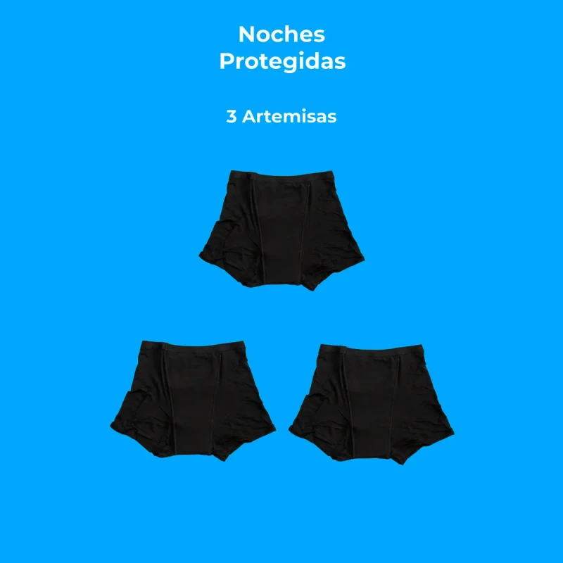 Noches Protegidas