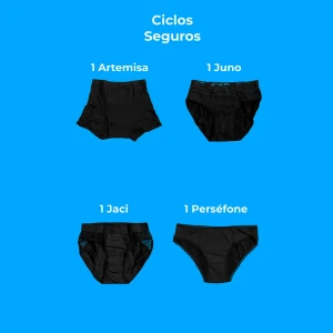 Ciclos Seguros